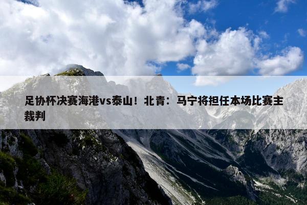 足协杯决赛海港vs泰山！北青：马宁将担任本场比赛主裁判