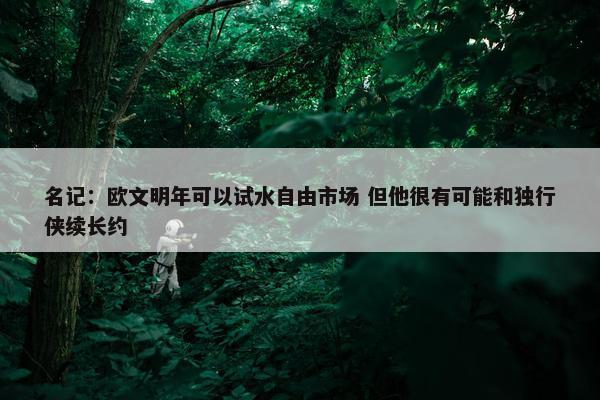 名记：欧文明年可以试水自由市场 但他很有可能和独行侠续长约