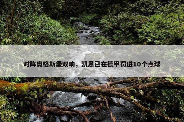 对阵奥格斯堡双响，凯恩已在德甲罚进10个点球