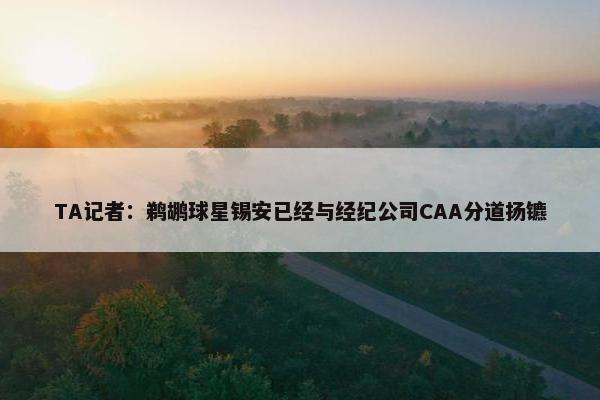 TA记者：鹈鹕球星锡安已经与经纪公司CAA分道扬镳