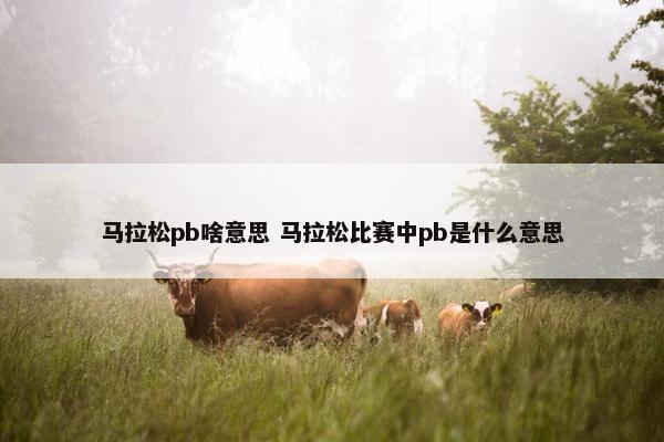 马拉松pb啥意思 马拉松比赛中pb是什么意思