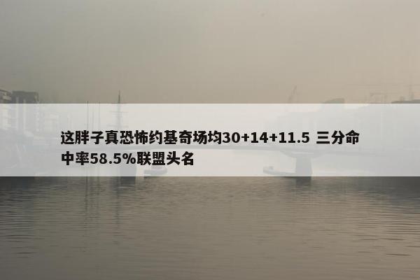 这胖子真恐怖约基奇场均30+14+11.5 三分命中率58.5%联盟头名