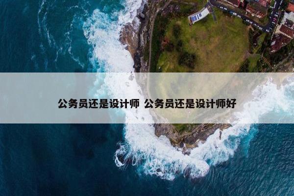 公务员还是设计师 公务员还是设计师好