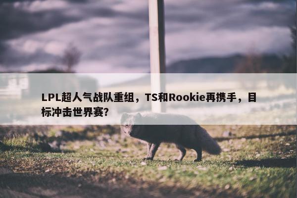 LPL超人气战队重组，TS和Rookie再携手，目标冲击世界赛？