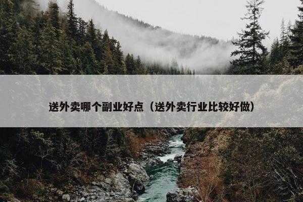 送外卖哪个副业好点（送外卖行业比较好做）