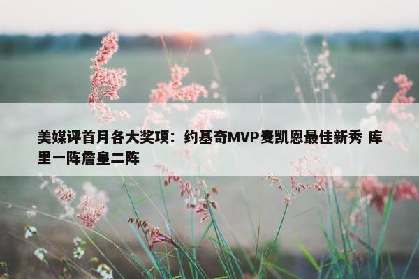 美媒评首月各大奖项：约基奇MVP麦凯恩最佳新秀 库里一阵詹皇二阵