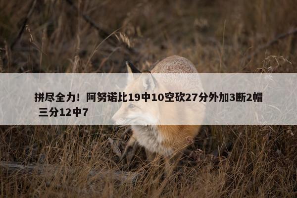 拼尽全力！阿努诺比19中10空砍27分外加3断2帽 三分12中7