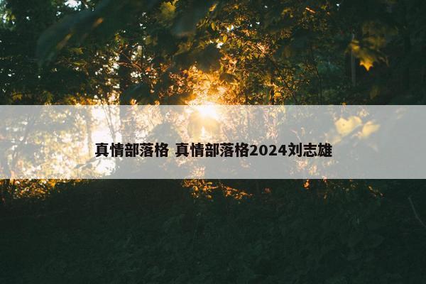 真情部落格 真情部落格2024刘志雄