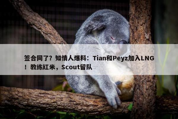 签合同了？知情人爆料：Tian和Peyz加入LNG！教练红米，Scout留队