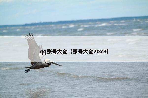 qq账号大全（账号大全2023）