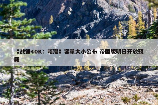 《战锤40K：暗潮》容量大小公布 帝国版明日开放预载