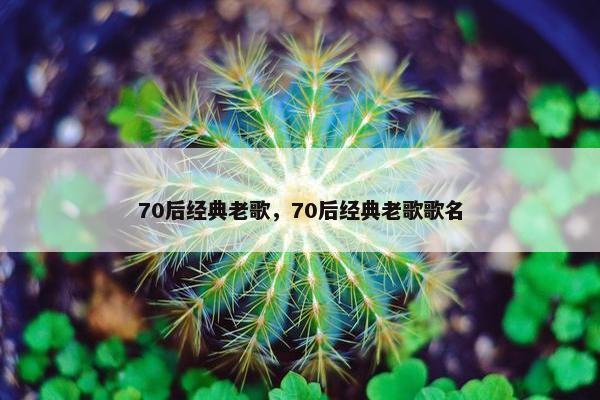 70后经典老歌，70后经典老歌歌名