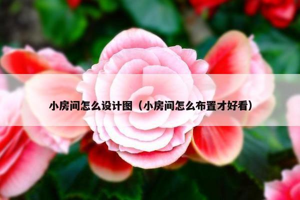 小房间怎么设计图（小房间怎么布置才好看）