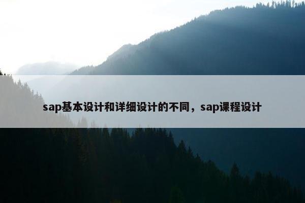 sap基本设计和详细设计的不同，sap课程设计