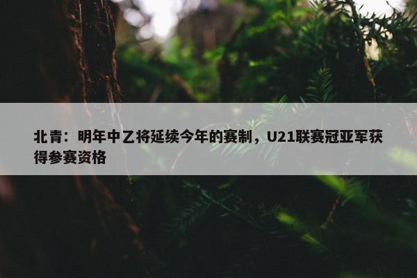 北青：明年中乙将延续今年的赛制，U21联赛冠亚军获得参赛资格