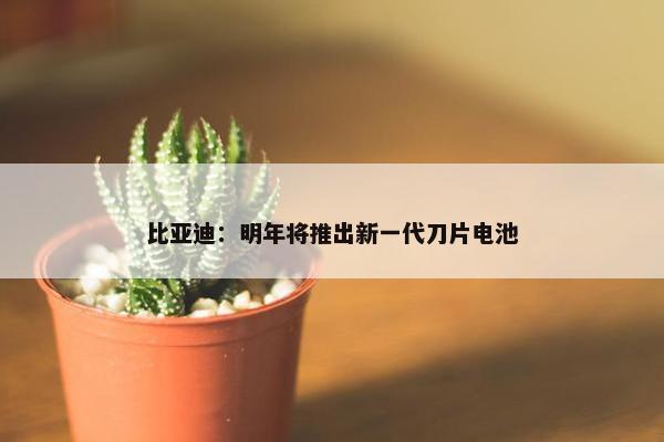 比亚迪：明年将推出新一代刀片电池