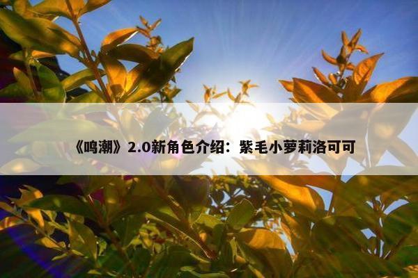 《鸣潮》2.0新角色介绍：紫毛小萝莉洛可可