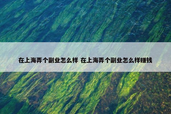 在上海弄个副业怎么样 在上海弄个副业怎么样赚钱