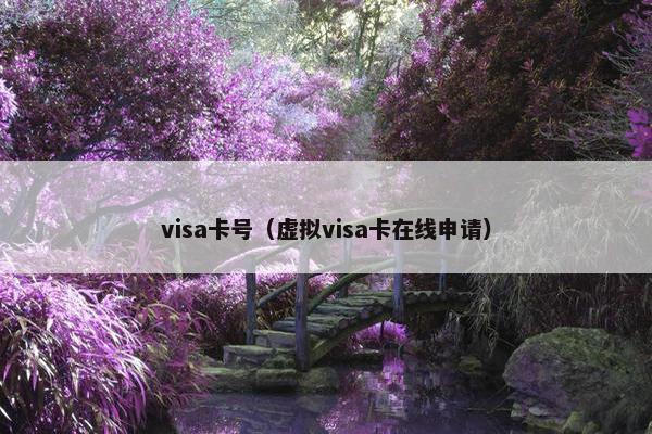 visa卡号（虚拟visa卡在线申请）