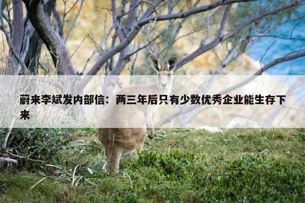 蔚来李斌发内部信：两三年后只有少数优秀企业能生存下来