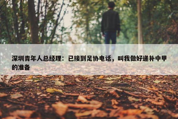 深圳青年人总经理：已接到足协电话，叫我做好递补中甲的准备