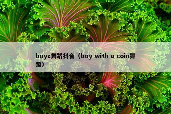 boyz舞蹈抖音（boy with a coin舞蹈）