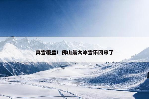 真雪覆盖！佛山最大冰雪乐园来了