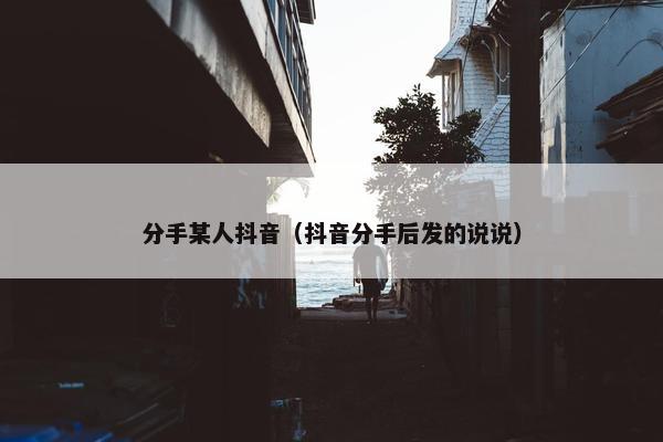 分手某人抖音（抖音分手后发的说说）