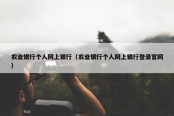 农业银行个人网上银行（农业银行个人网上银行登录官网）