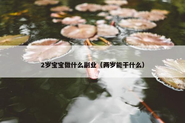 2岁宝宝做什么副业（两岁能干什么）