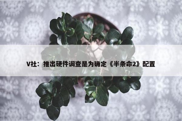 V社：推出硬件调查是为确定《半条命2》配置