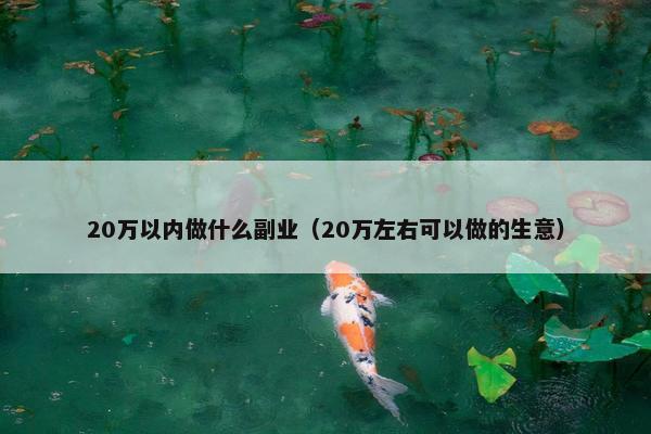 20万以内做什么副业（20万左右可以做的生意）