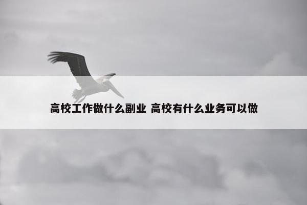 高校工作做什么副业 高校有什么业务可以做