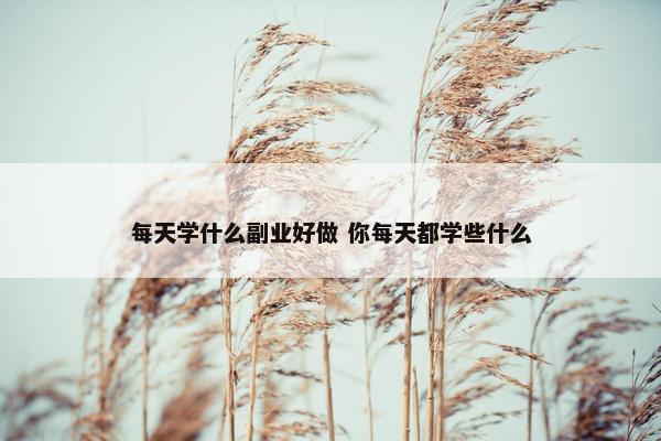 每天学什么副业好做 你每天都学些什么