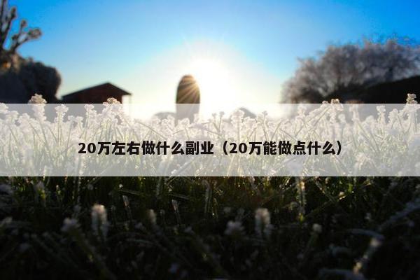 20万左右做什么副业（20万能做点什么）