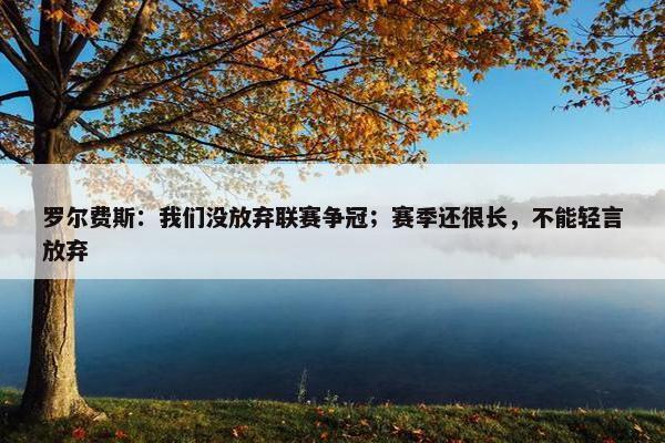 罗尔费斯：我们没放弃联赛争冠；赛季还很长，不能轻言放弃