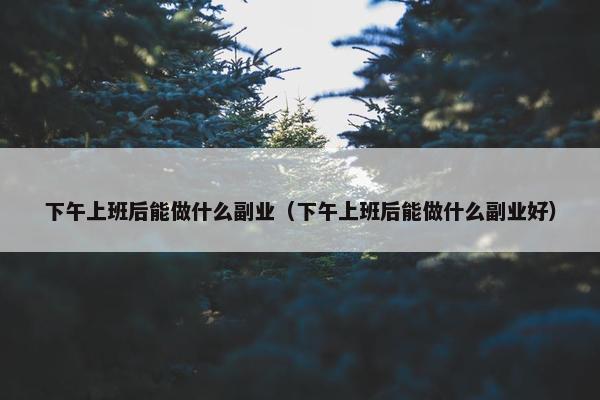 下午上班后能做什么副业（下午上班后能做什么副业好）