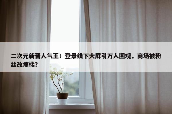 二次元新晋人气王！登录线下大屏引万人围观，商场被粉丝改痛楼？