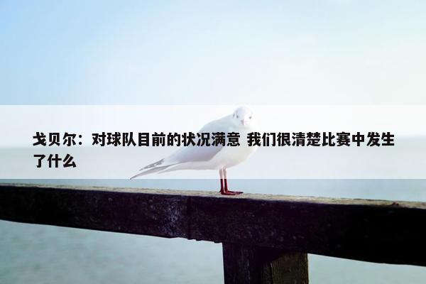 戈贝尔：对球队目前的状况满意 我们很清楚比赛中发生了什么