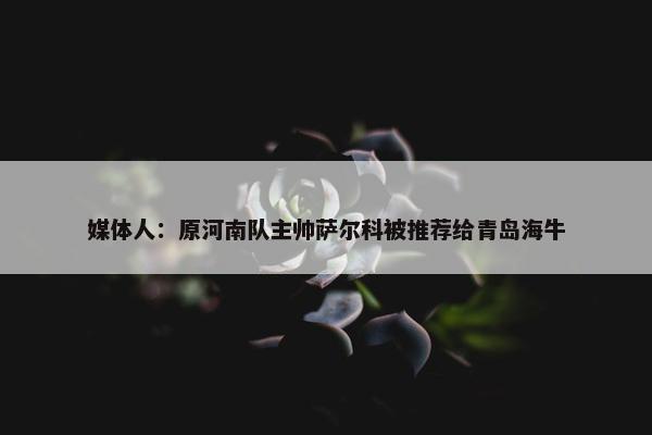 媒体人：原河南队主帅萨尔科被推荐给青岛海牛