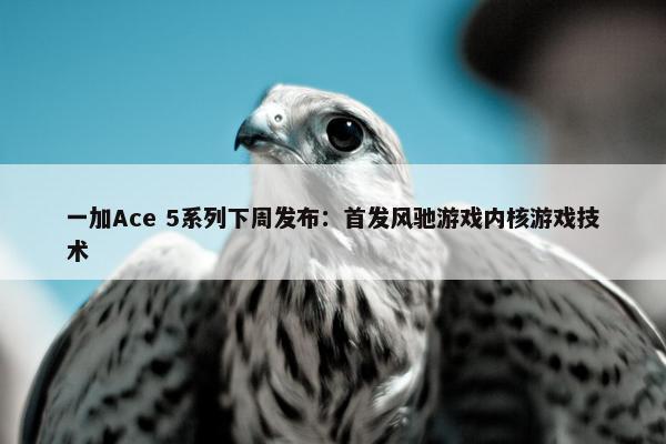 一加Ace 5系列下周发布：首发风驰游戏内核游戏技术