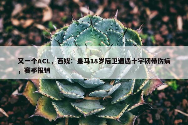 又一个ACL，西媒：皇马18岁后卫遭遇十字韧带伤病，赛季报销