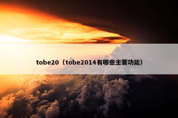 tobe20（tobe2014有哪些主要功能）