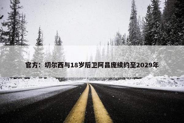 官方：切尔西与18岁后卫阿昌庞续约至2029年