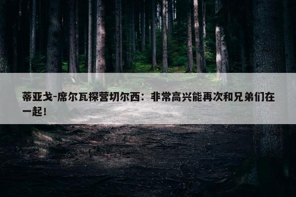 蒂亚戈-席尔瓦探营切尔西：非常高兴能再次和兄弟们在一起！