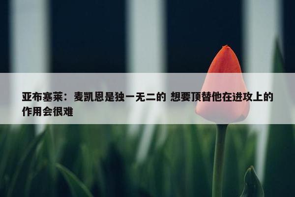 亚布塞莱：麦凯恩是独一无二的 想要顶替他在进攻上的作用会很难