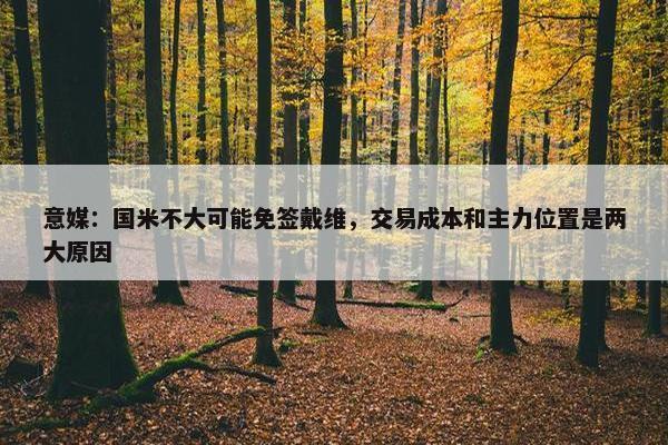 意媒：国米不大可能免签戴维，交易成本和主力位置是两大原因