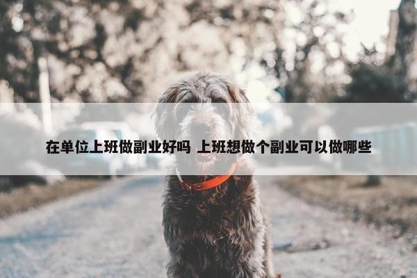 在单位上班做副业好吗 上班想做个副业可以做哪些