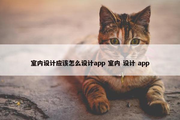 室内设计应该怎么设计app 室内 设计 app