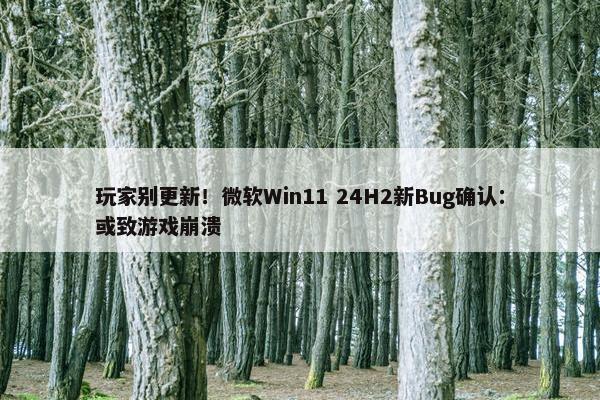 玩家别更新！微软Win11 24H2新Bug确认：或致游戏崩溃